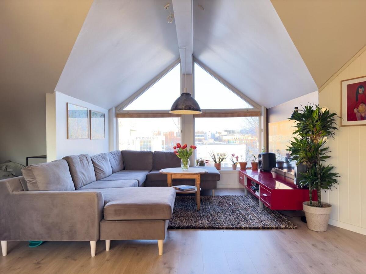 Apartment Cozy And Loft In *